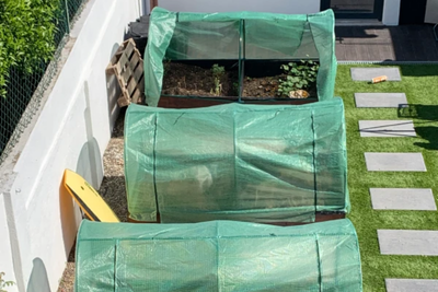 Walk-in Greenhouses