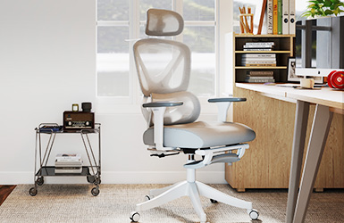 Premium Office Chair